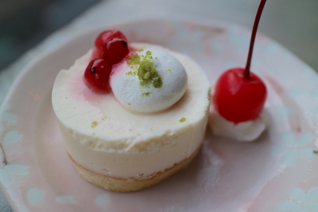 今日はレアチーズケーキです