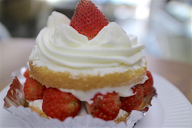 今日はショートケーキです
