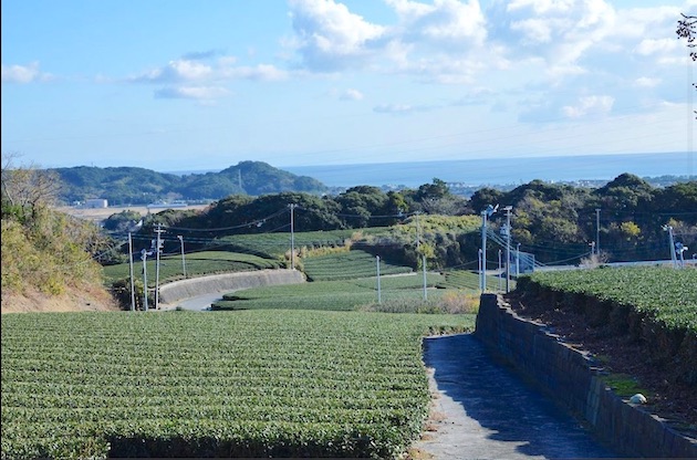 【テイクアウト情報】カネ十農園 表参道＠表参道
