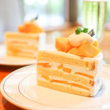 今日は宮崎県産マンゴーショートケーキです