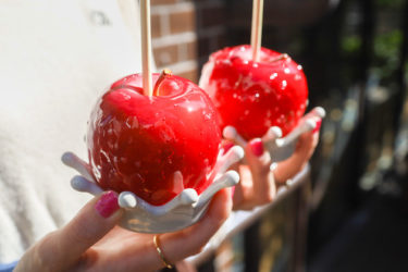 今日はりんご飴です