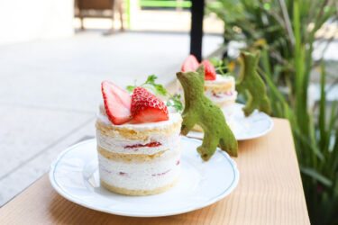 今日はフレジェです