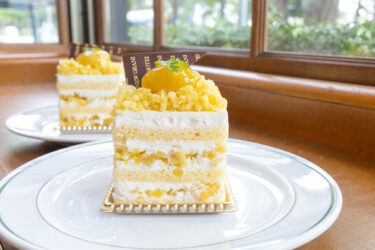 今日は栗のプレミアムショートケーキです