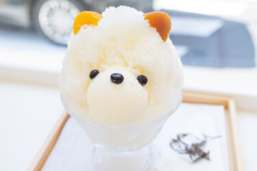 今日はくまちゃんかき氷です