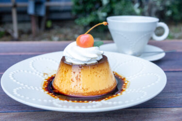 今日はプリンです
