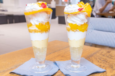 今日はパッションマンゴーのパフェです
