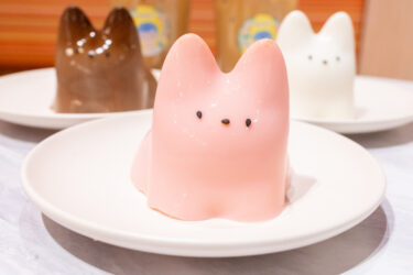 今日は猫プリンです
